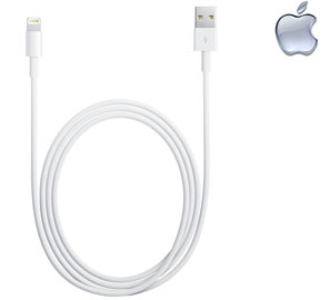 Apple 3ft Lightning to USB Cable - Shop Android