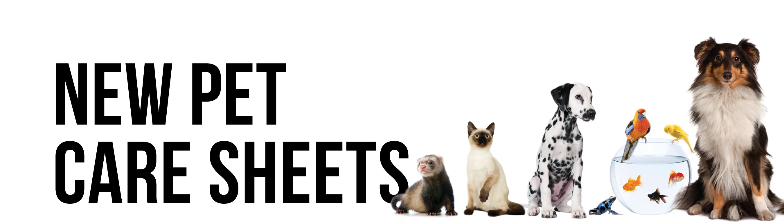 new pet care sheets