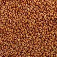 Azure Farm Camelina Seed, Organic - 33 ozs.