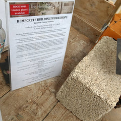 Hemp building bricks