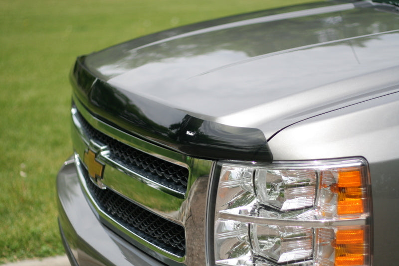 1998 Chevrolet S-10 Bug Shield