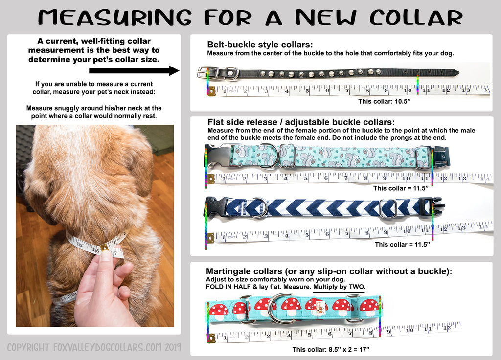 Measuring for a dog collar