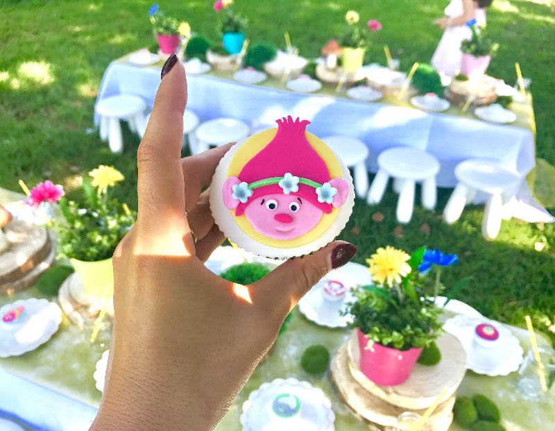 Trolls Movie Poppa Character Cupcake for Kids Party at a Sydney Inner West Park