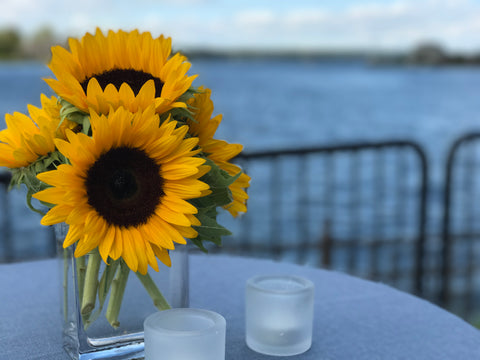 Oceanport, New Jersey corporate event flower arrangements of sunflowers done by Gig Morris Florist in Belmar, New Jersey