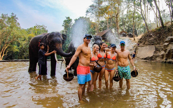 people in thailand with elephant