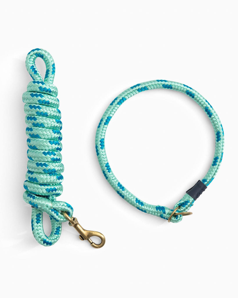 rope dog collar and leash