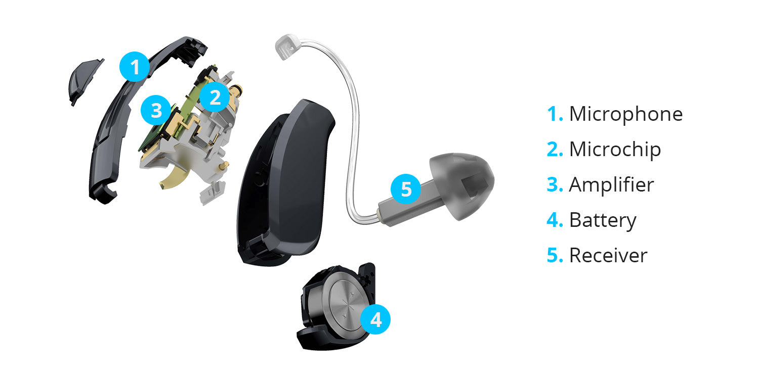 How Hearing Aids Work