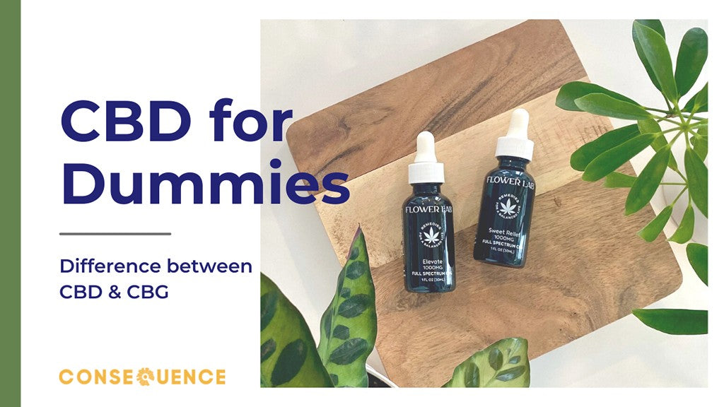 Cbd For Dummies The Difference Between Cbd And Cbg