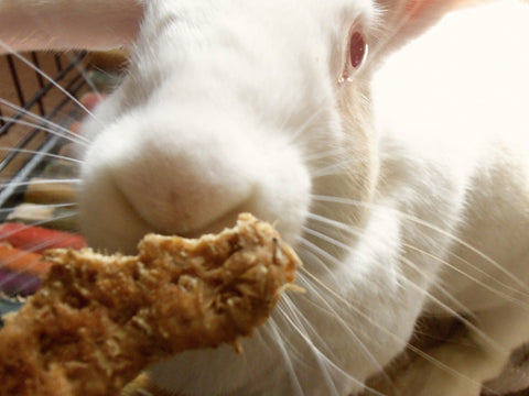 Happy Dog Brewski customer-all natural dog treats that bunnies enjoy too!