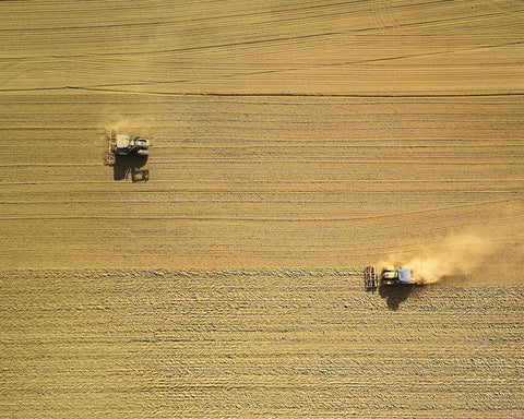 Humans plowing field