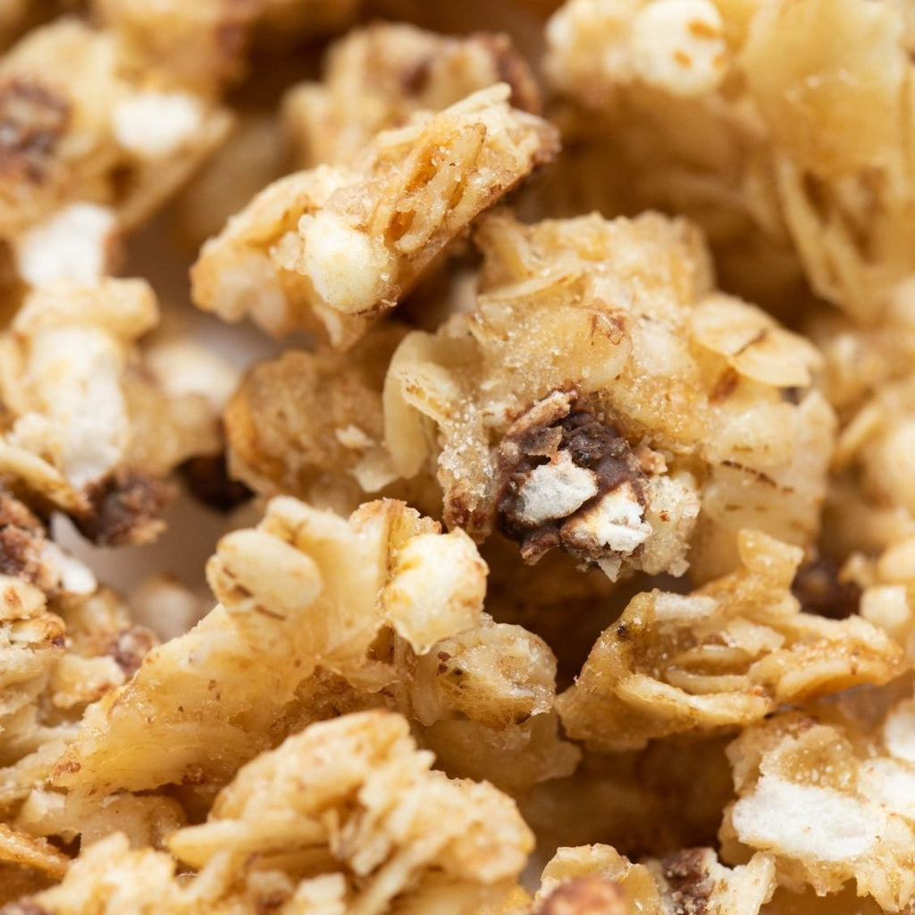 chocolate-chip-cookie-dough-granola-vegan-eggless-safe-fair