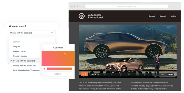 Vimeo Live Streaming Privacy