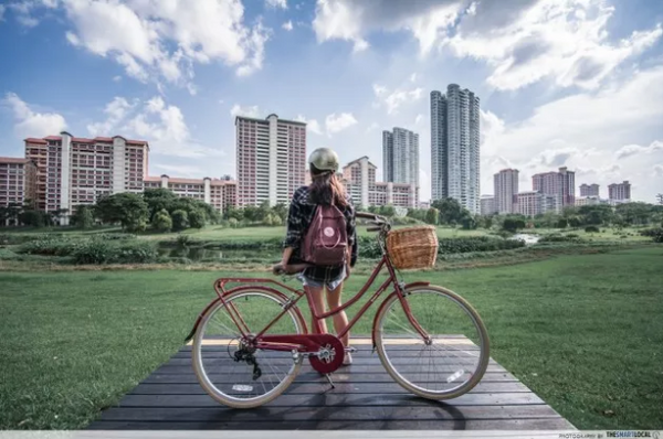 Bobbin Brownie Raspberry at Bishan Park