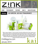 zink magazine - online<br>january 2014