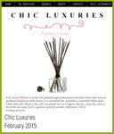 chic luxuries<br>february 2015