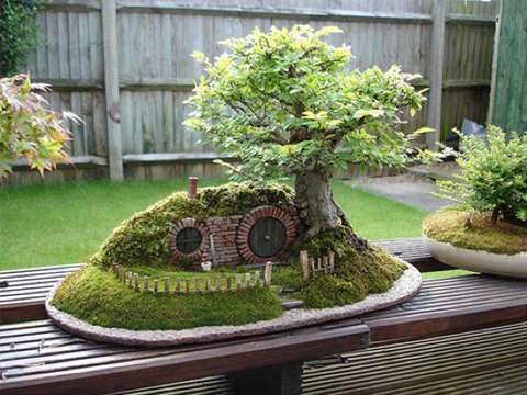 Bonsai home garden decor ideas