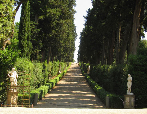 Happy Gardens - Boboli Gardens