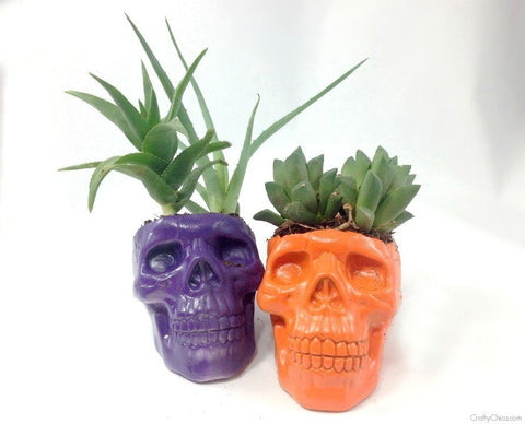 Happy Gardens - Creepy Skull Planters