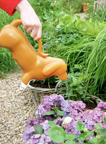 Happy Gardens - Dachshund Watering Can