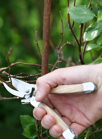 Happy Gardens - Garden Multi-Tool