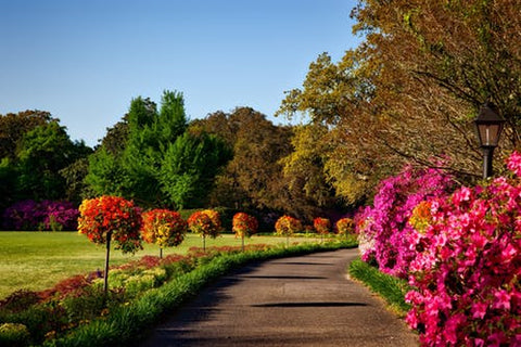 Happy Gardens - Garden Path