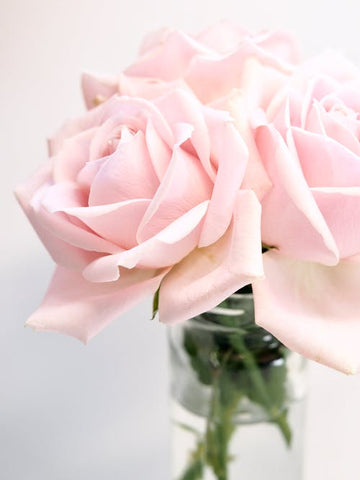 Happy Gardens - Light Pink Roses
