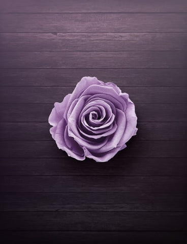 Happy Gardens - Purple Rose