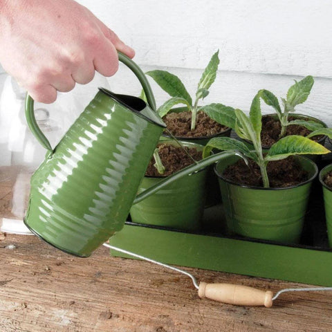 Happy Gardens - Tall Indoor Watering Can