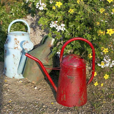 Happy Gardens - Vintage Watering Can