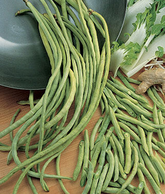 Happy Gardens - Yard Long Beans