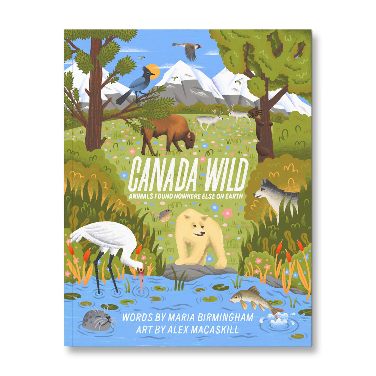 Canada Wild: Animals Found Nowhere Else on Earth – Midnight Oil Print &  Design House