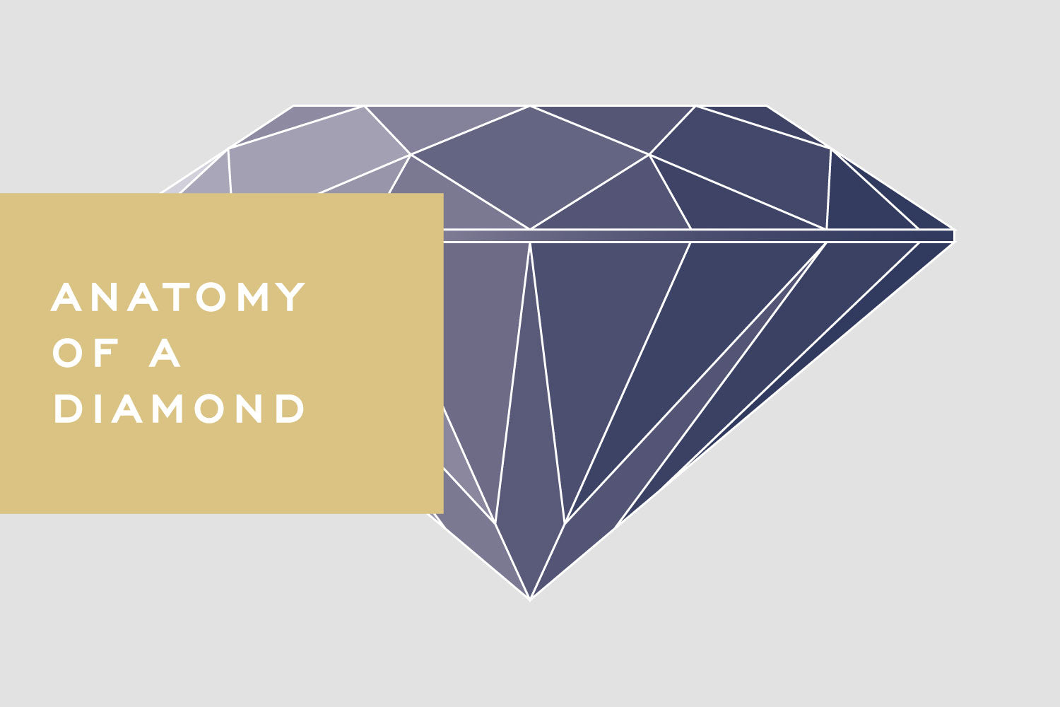 Anatomy of a Diamond by Corey Egan
