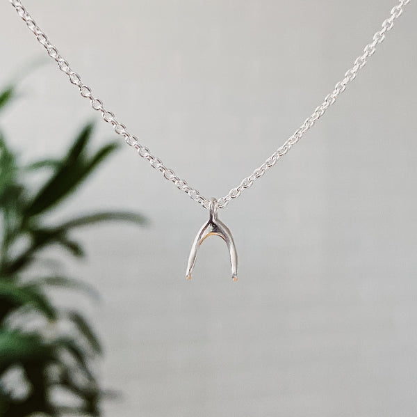 The Silver Wishbone Necklace