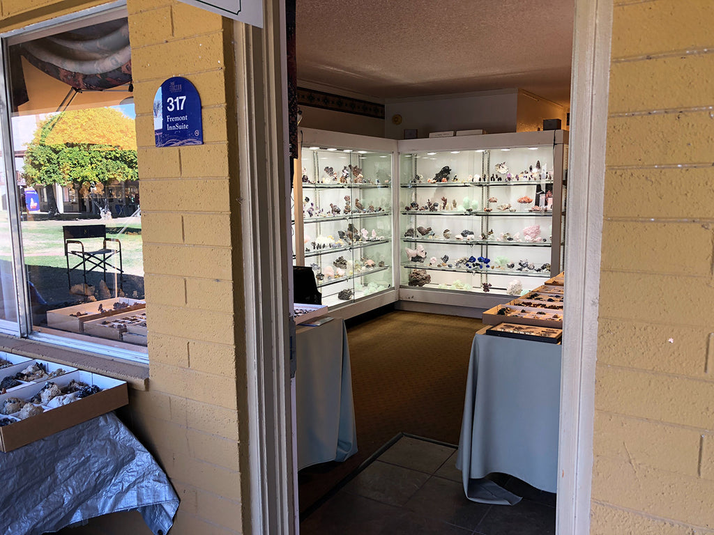 Mineral specimens on display in a hotel room | Tucson Gem Fair | Corey Egan