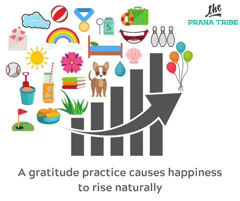 Kid's gratitude practice