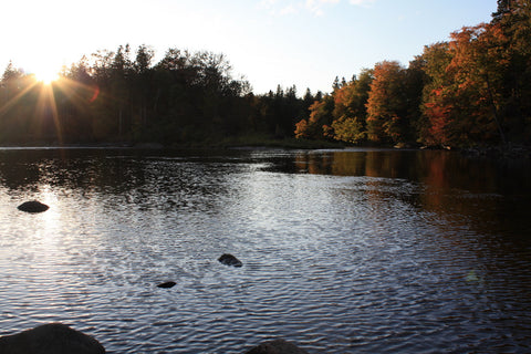 The Margaree River in Fall