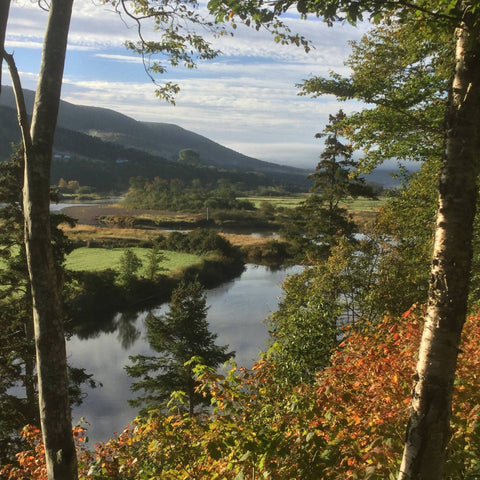 View of Margaree River, mountains, fields