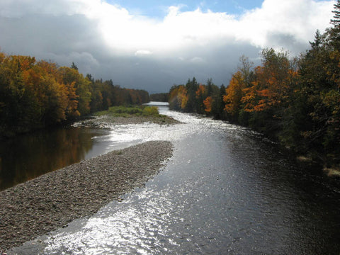 Margaree River in Fall
