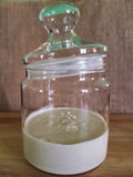 Sourdough Starter 1