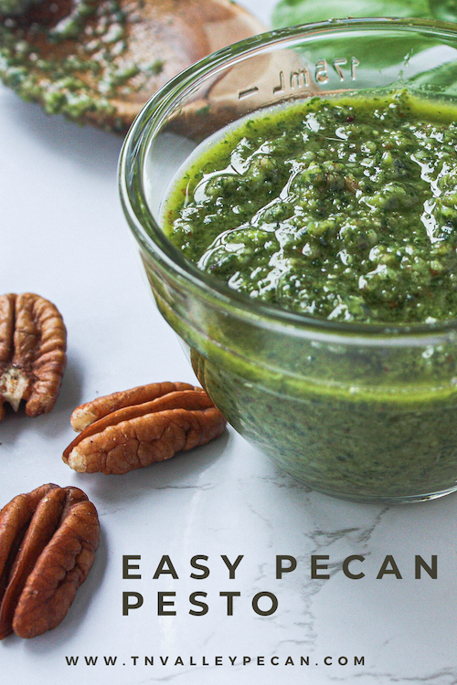 Pinterest pin with image of completed pecan pesto | Tennessee Valley Pecan Company