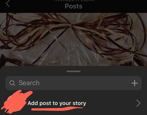 how to share instagram post to stories pic 2