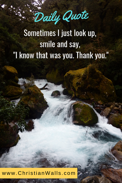 Sometimes I just look up, smile and say I know that was you Thank you picture print poster christian quote