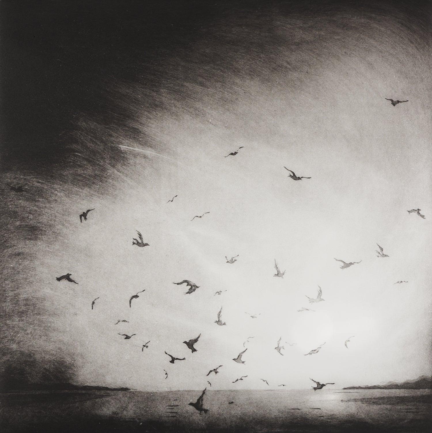Rebecca Denton- Evening Flight