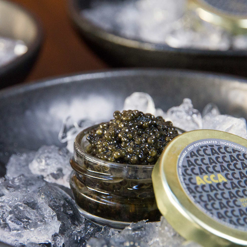 velocio acca caviar