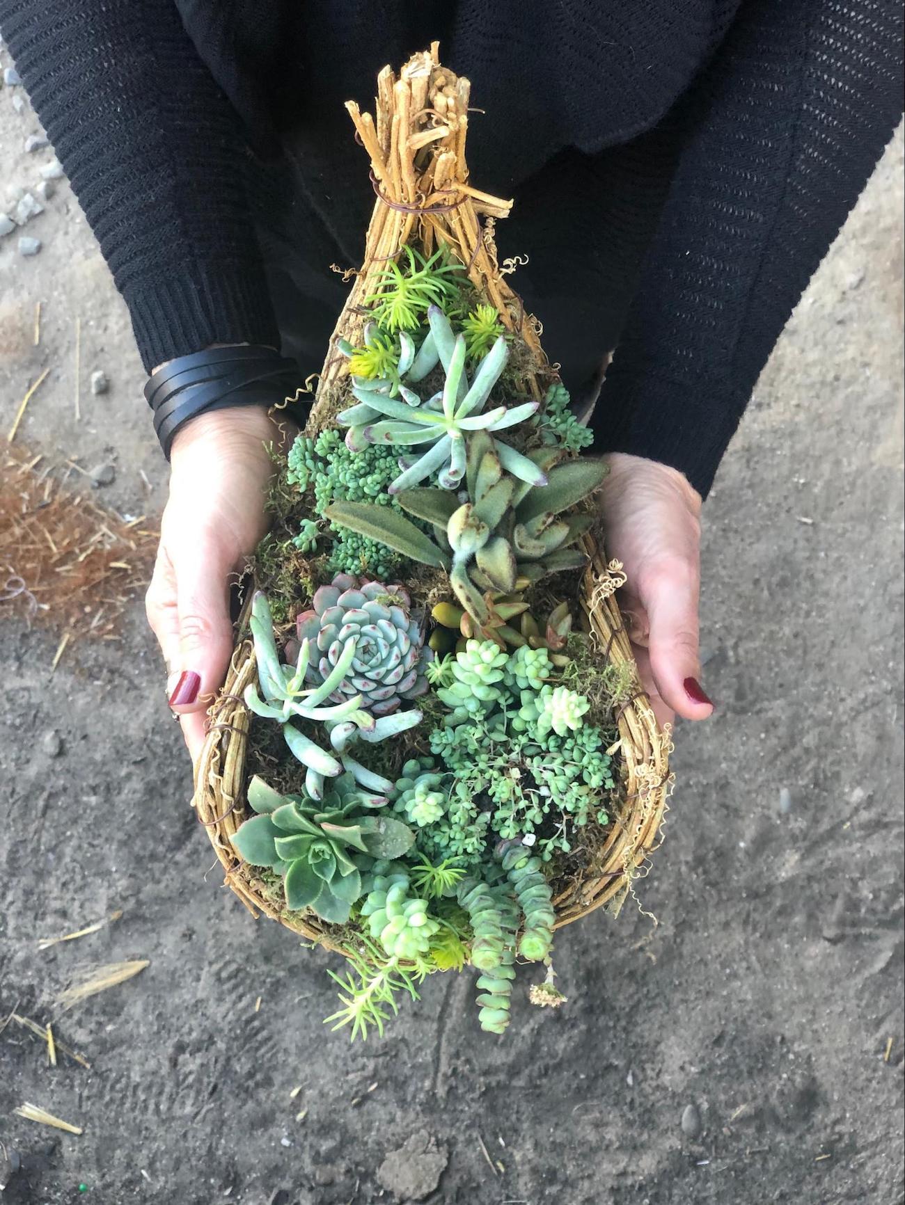 Cornucopia Thanksgiving Succulent Centerpiece DIY