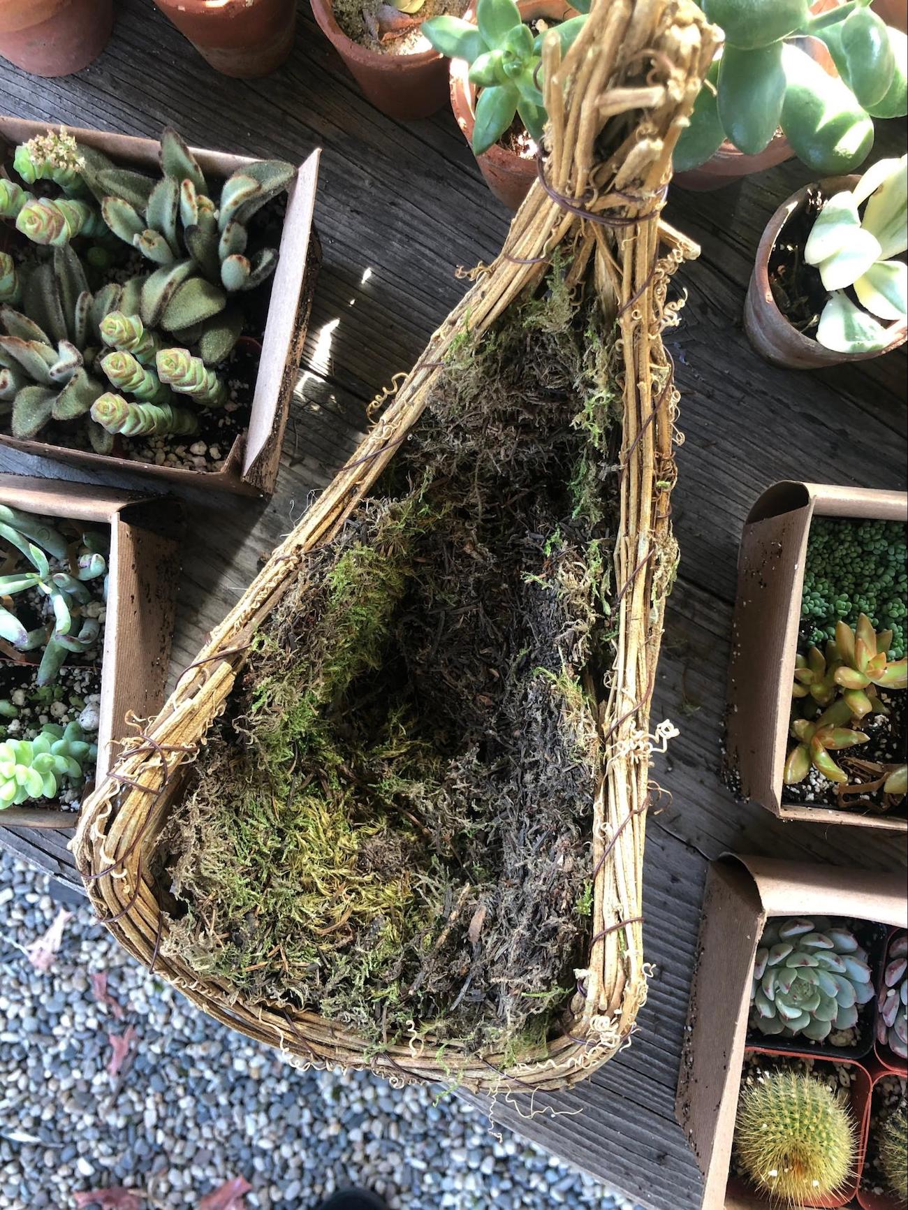 Fill Cornucopia with Moss