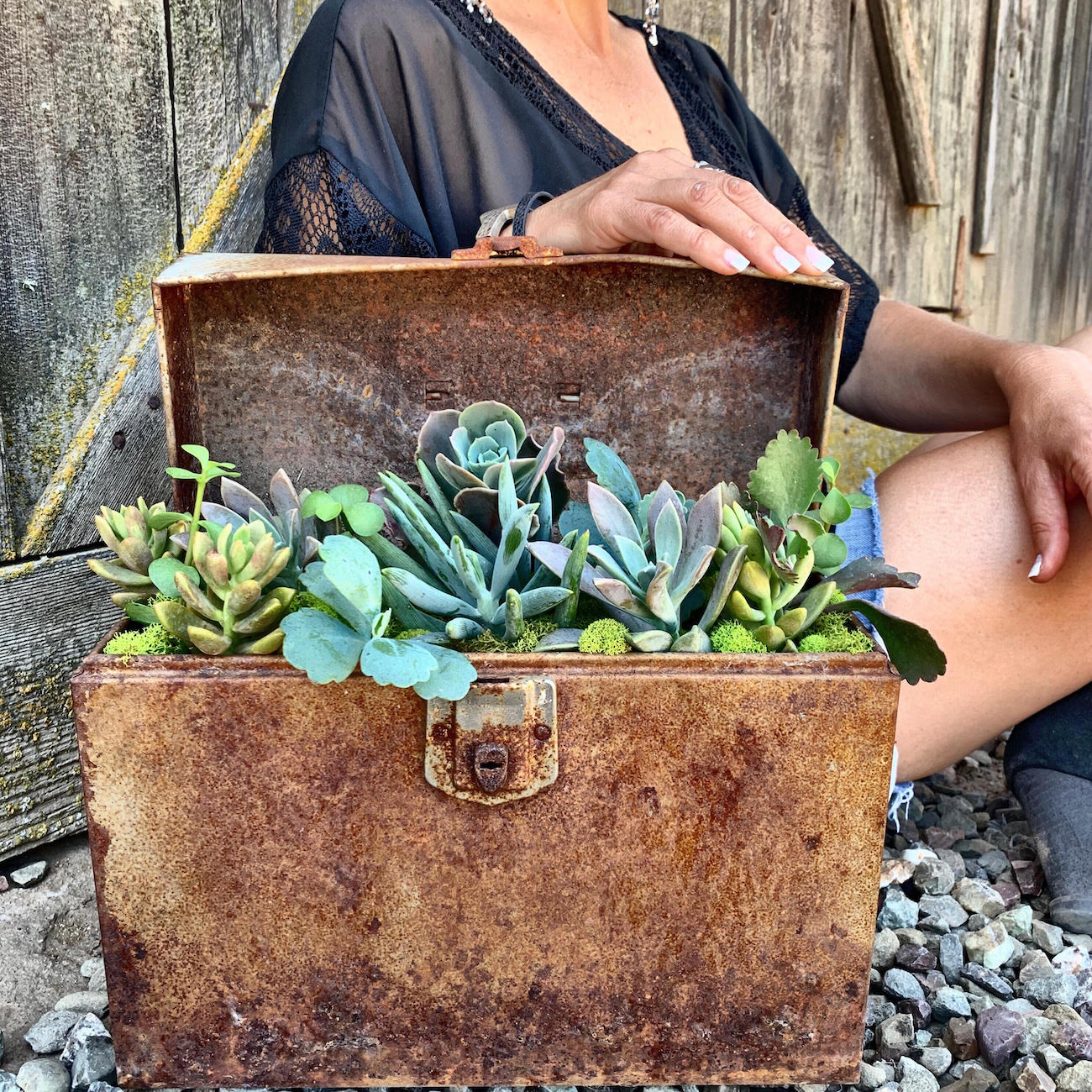 Antique Wood Filebox Succulent Planter