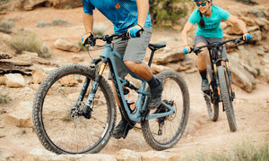 Ibis Mountain Bike Buyer's Guide