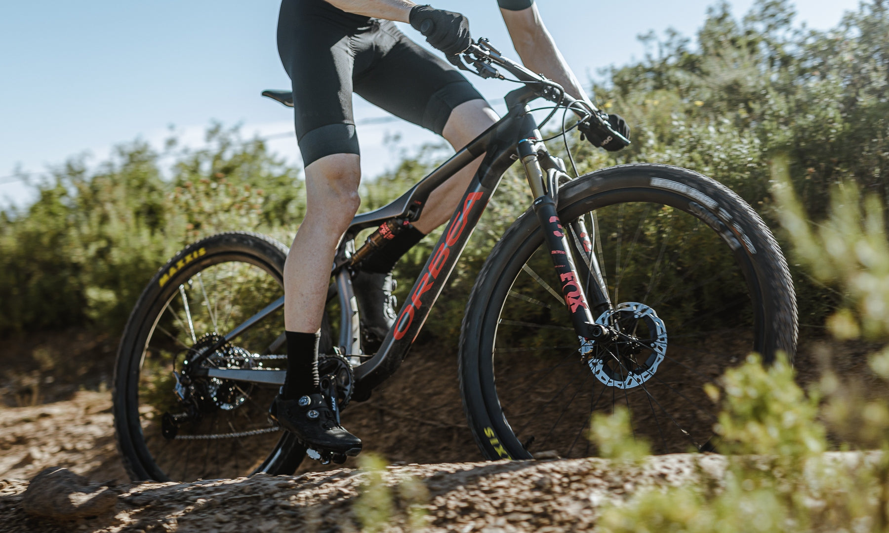 Orbea mountain bike guide