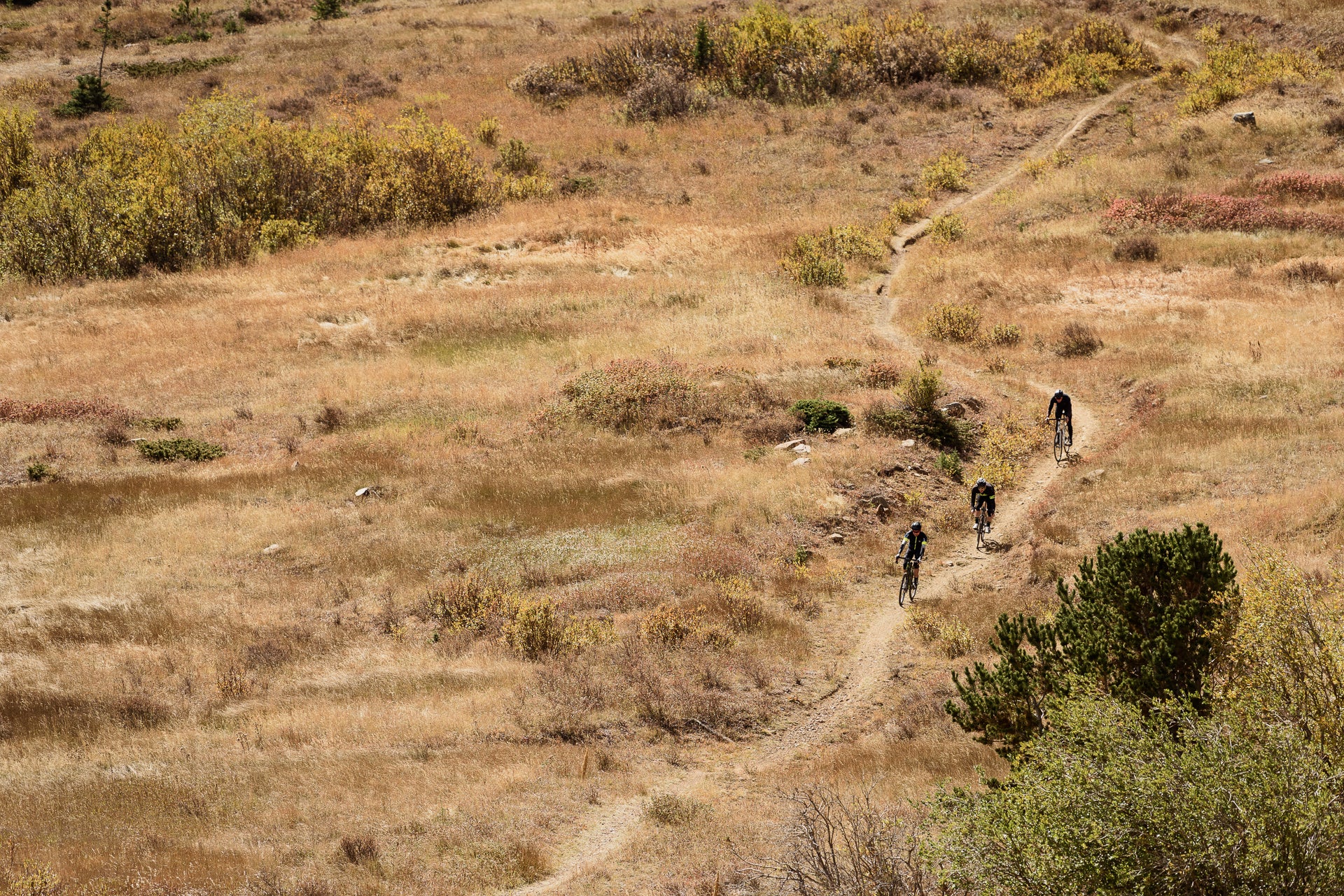 Gravel Bikes on Singletrack MTB Trail